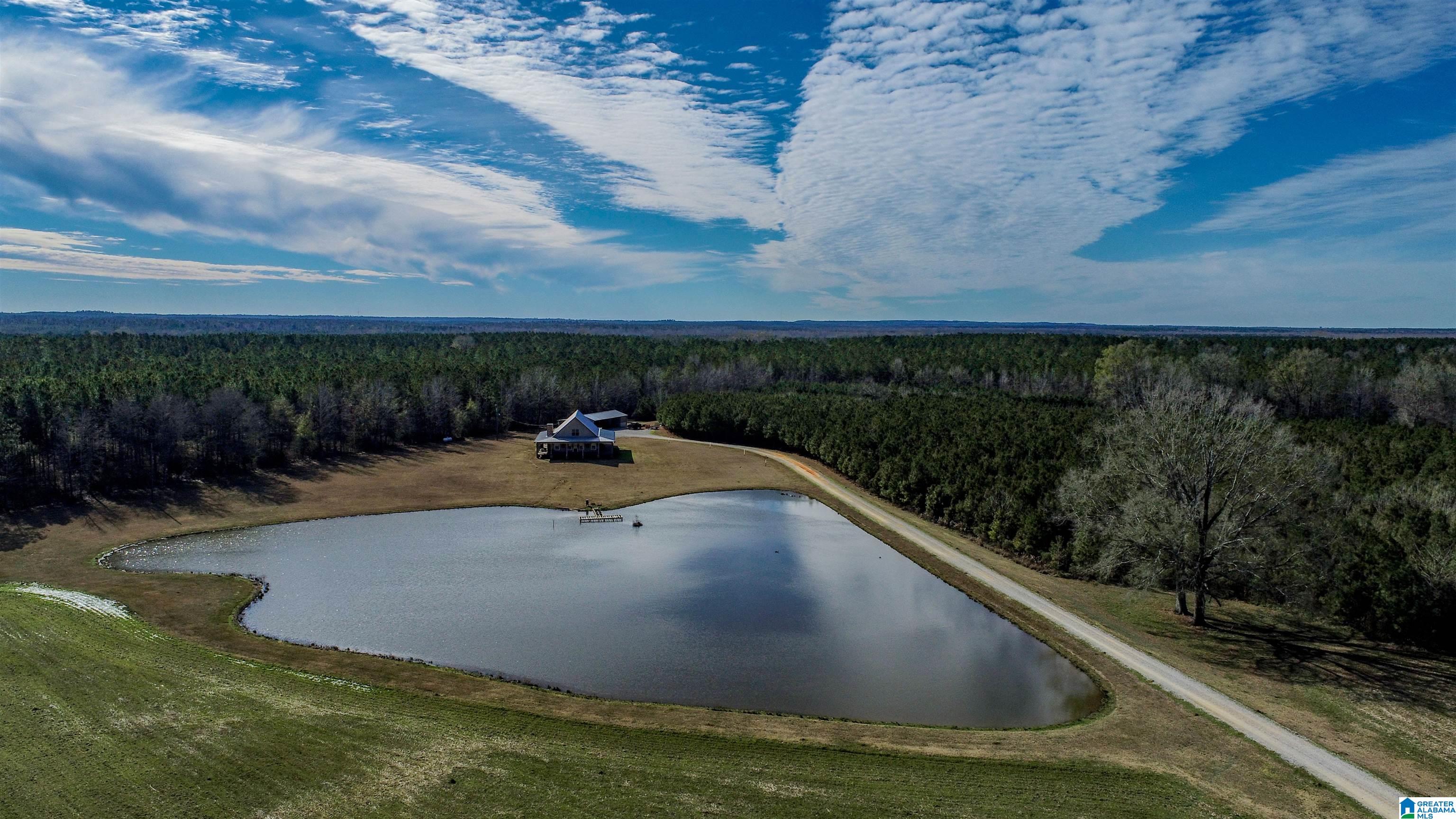8619 County Road 33 Linden, AL 36748 - Photo 10 of 54