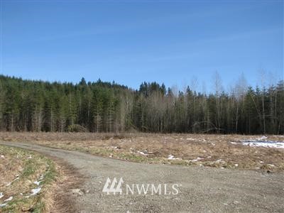 8716 Pilchuck Tree Farm Road Snohomish, WA 98290 - Photo 1 of 6 Gallery Image 1