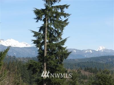 8716 Pilchuck Tree Farm Road Snohomish, WA 98290 - Photo 5 of 6 Gallery Image 5