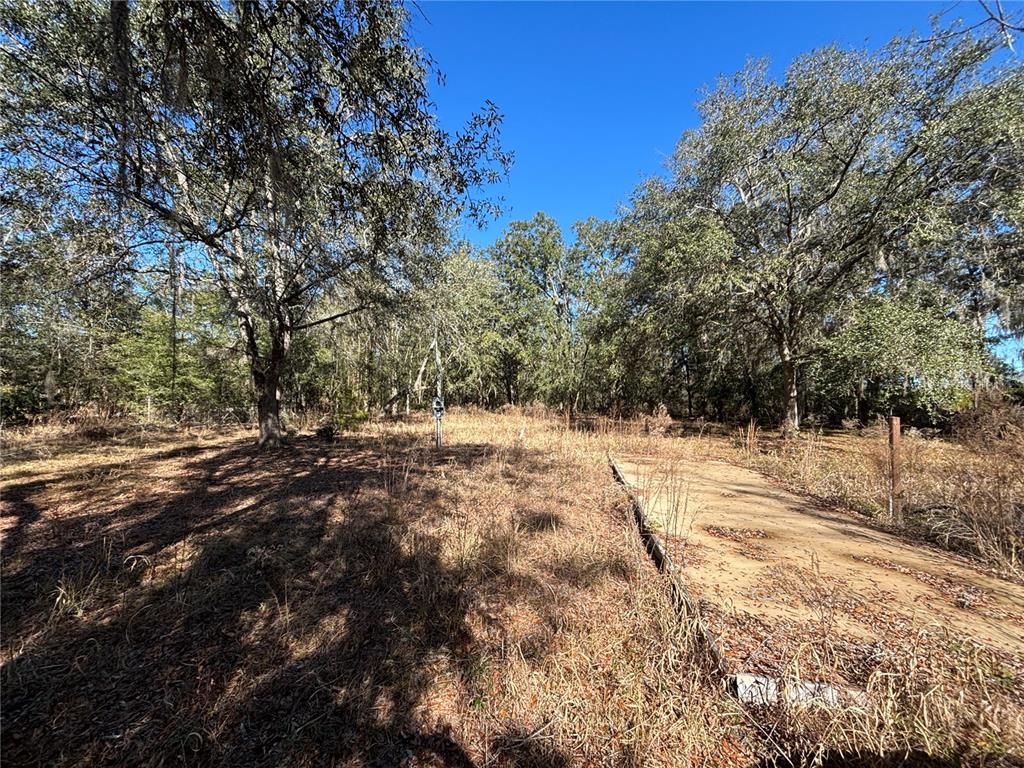 1077 Northwest Hamp Farmer Road Lake City, FL 32055 - Photo 2 of 8 a view of yard covered with snow