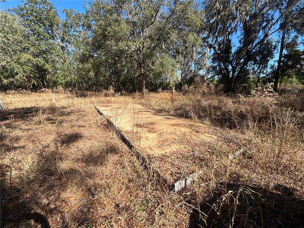 1077 Northwest Hamp Farmer Road Lake City, FL 32055 - Photo 3 of 8 a view of yard covered with snow