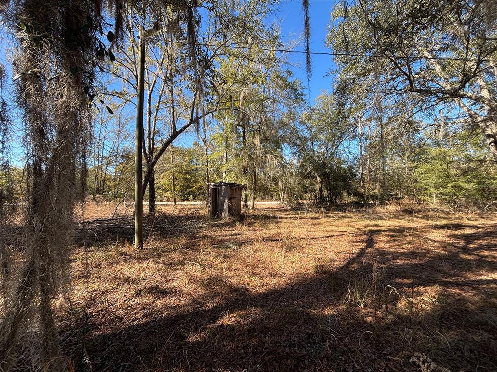 1077 Northwest Hamp Farmer Road Lake City, FL 32055 - Photo 5 of 8 a view of yard with trees