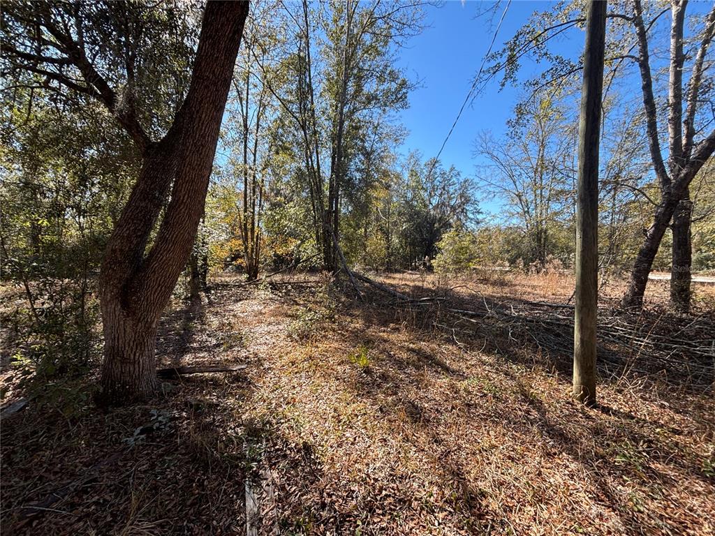 1077 Northwest Hamp Farmer Road Lake City, FL 32055 - Photo 6 of 8 a view of a yard