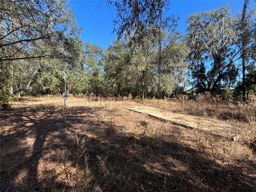 1077 Northwest Hamp Farmer Road Lake City, FL 32055 - Photo 7 of 8 a view of side of a yard