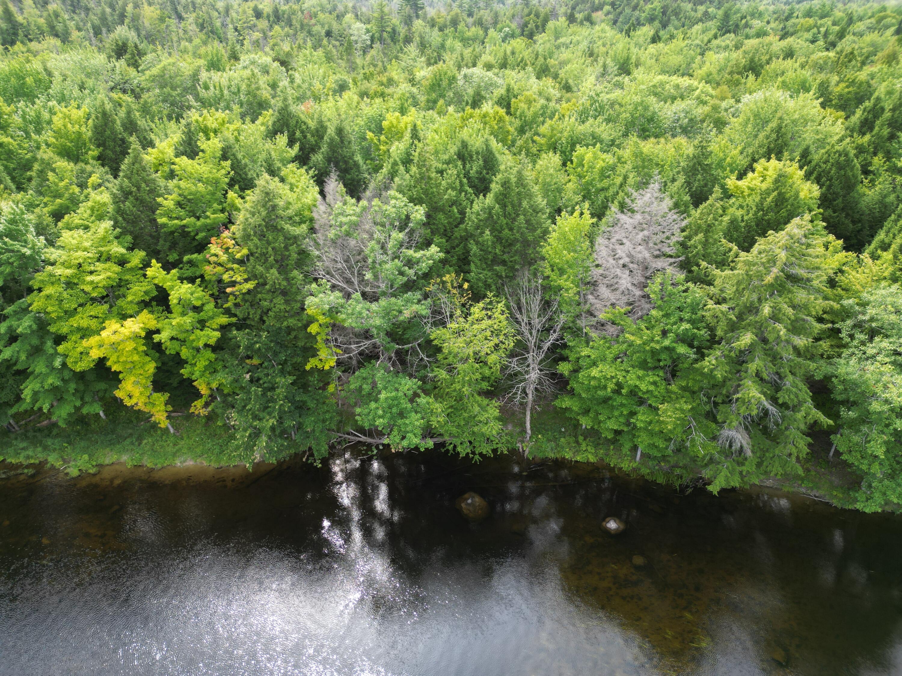 Lot 4 Off Mattamiscontis Road Howland, ME 04448 - Photo 4 of 20 DJI_0080