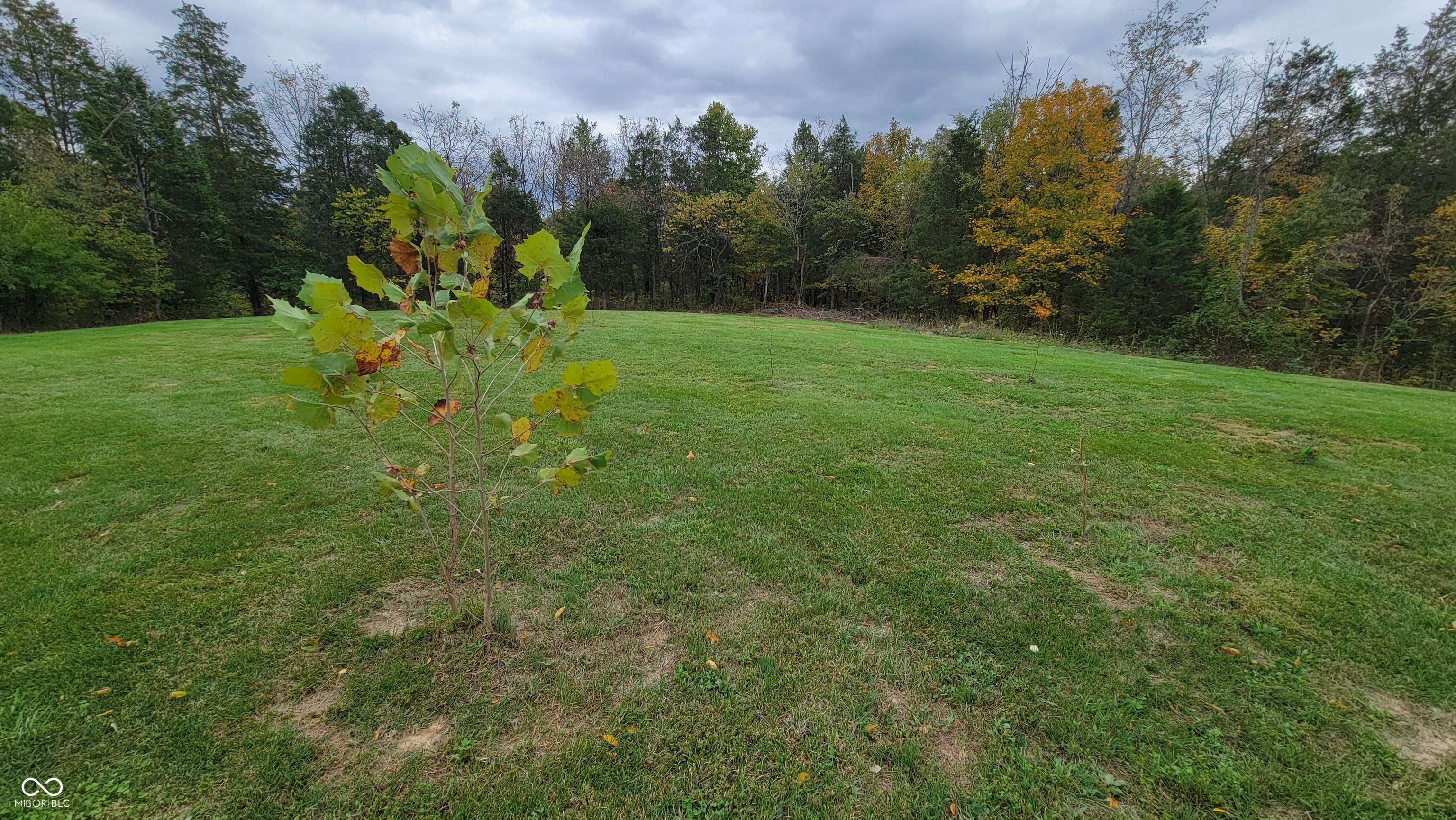 10081 Sullivan Road Vevay, IN 47043 - Photo 37 of 55