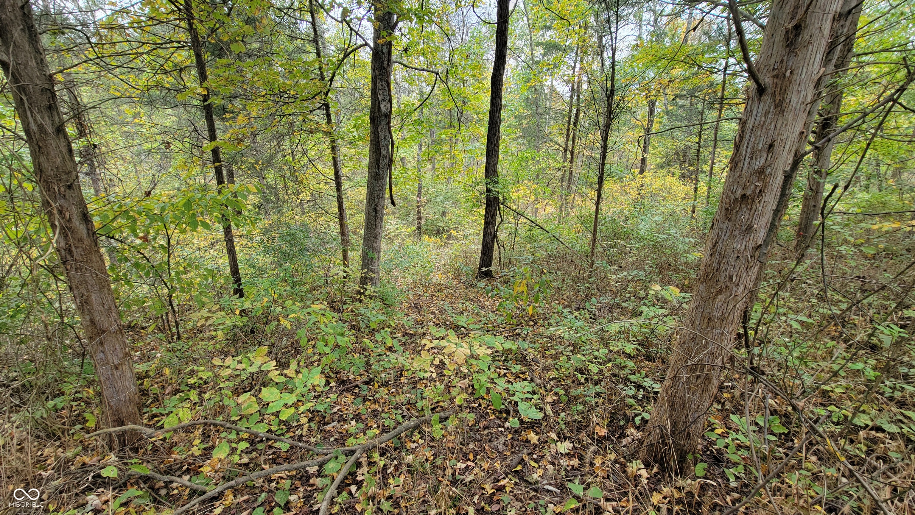 10081 Sullivan Road Vevay, IN 47043 - Photo 44 of 55