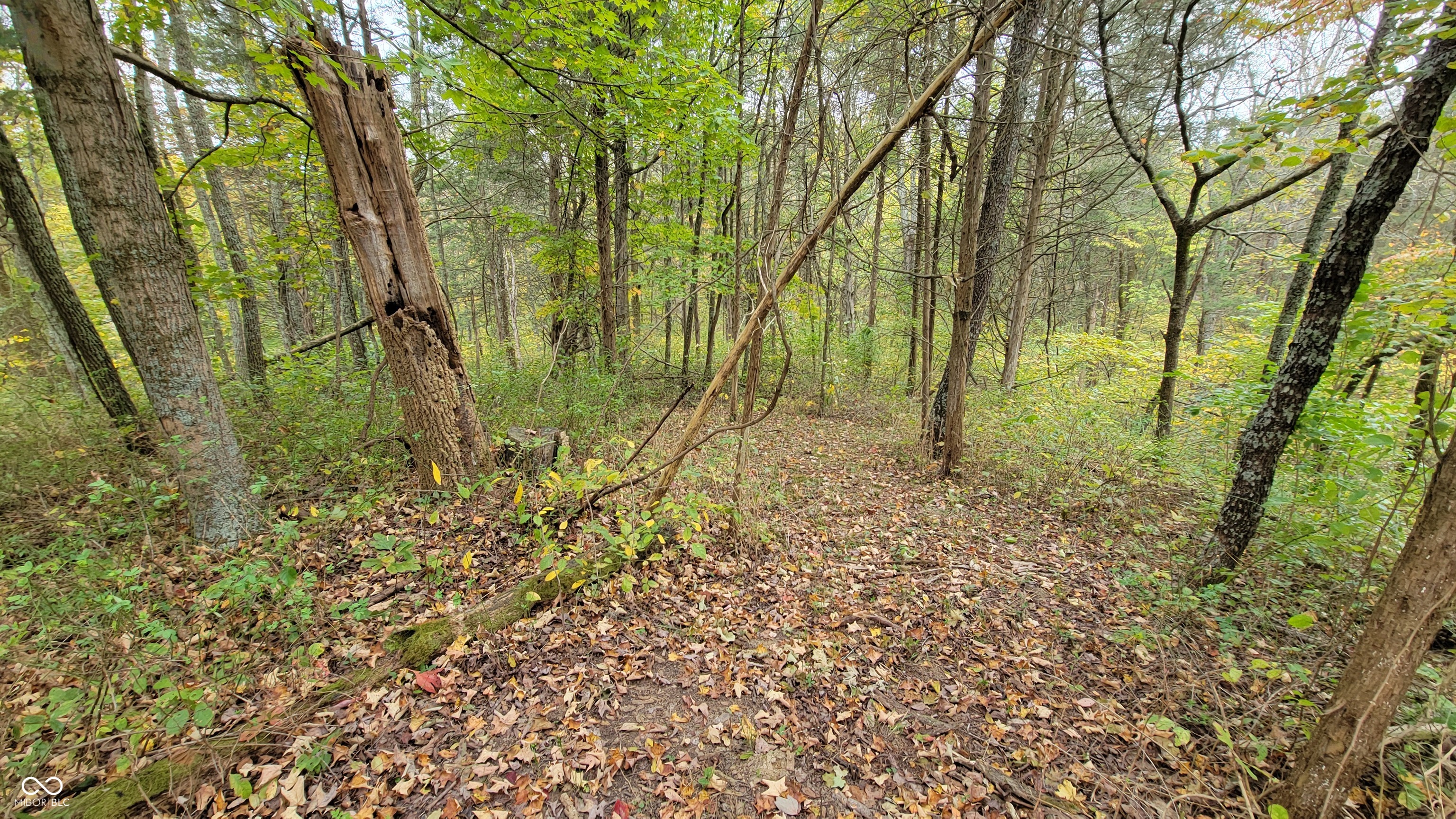 10081 Sullivan Road Vevay, IN 47043 - Photo 45 of 55