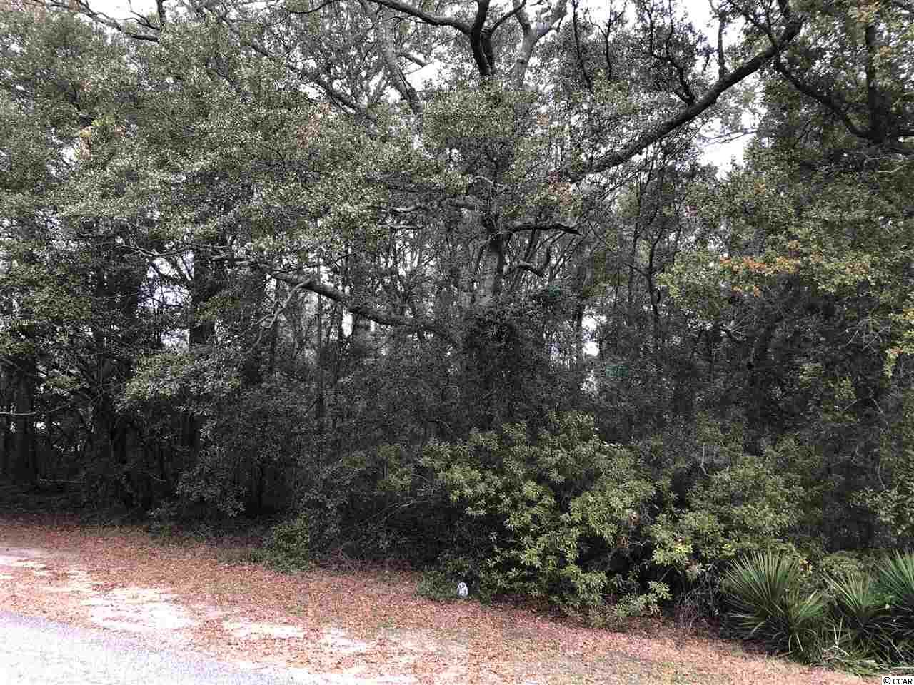 406 Kingston Road Myrtle Beach, SC 29572 - Photo 1 of 11 Gallery Image 1