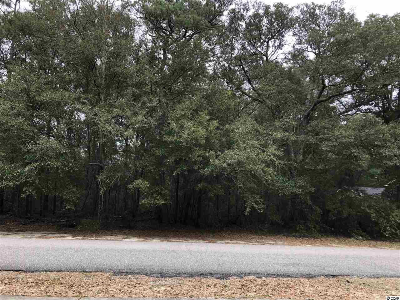 406 Kingston Road Myrtle Beach, SC 29572 - Photo 4 of 11 Gallery Image 4