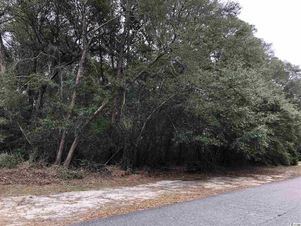 406 Kingston Road Myrtle Beach, SC 29572 - Photo 5 of 11 Gallery Image 5