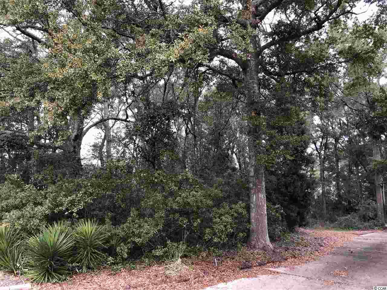 406 Kingston Road Myrtle Beach, SC 29572 - Photo 6 of 11 Gallery Image 6