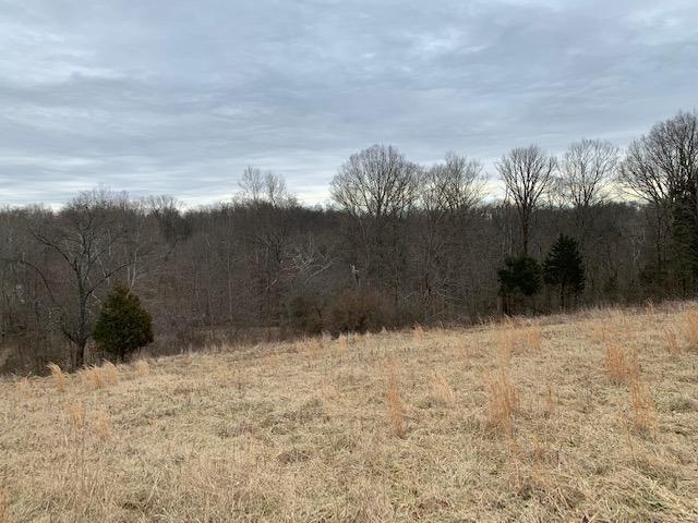 10 Hopewell Road Felicity, OH 45120 - Photo 3 of 12 Gallery Image 3