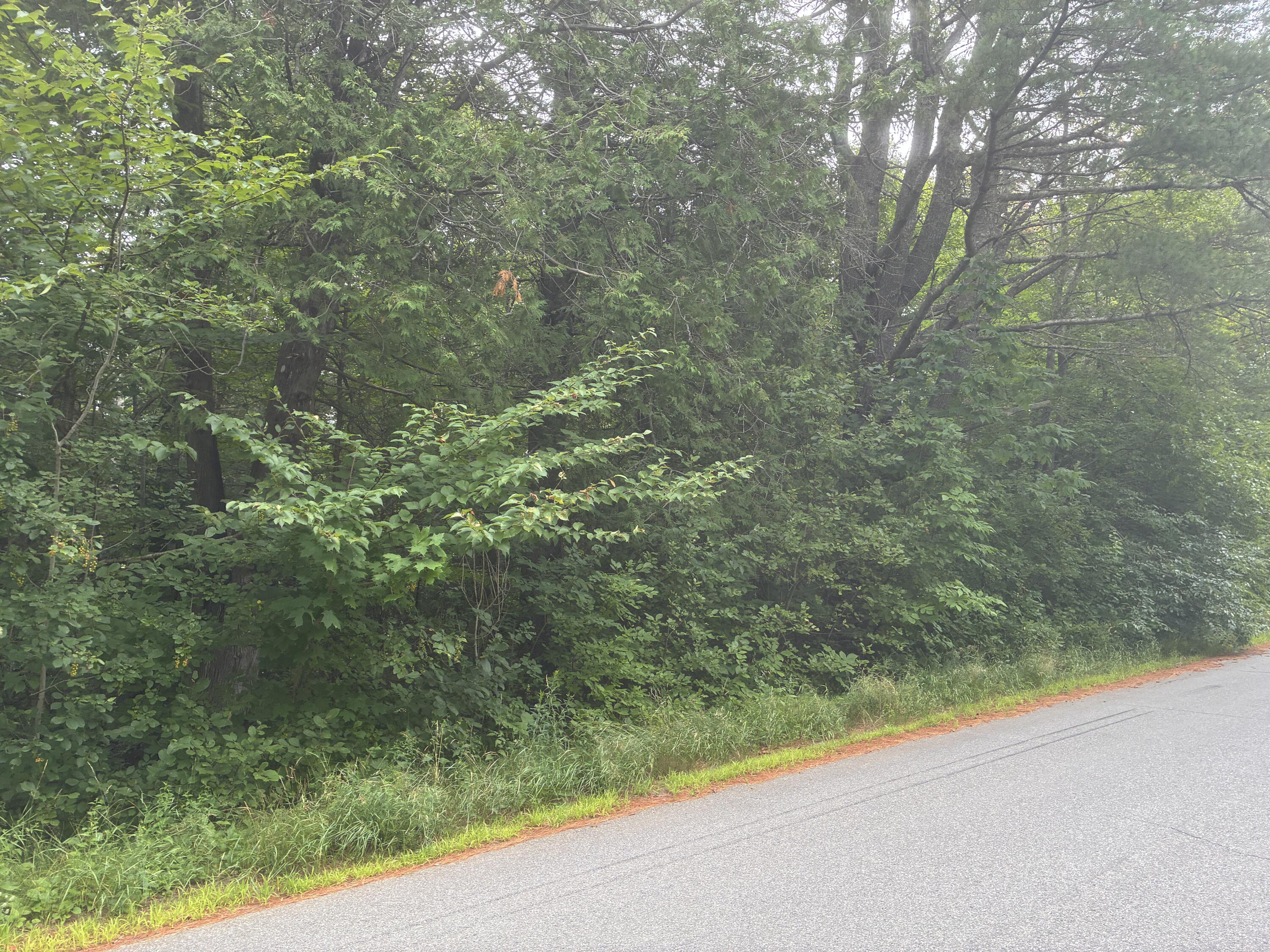 M30-l1b Carson Road Calais, ME 04619 - Photo 1 of 5 STREET VIEW 1