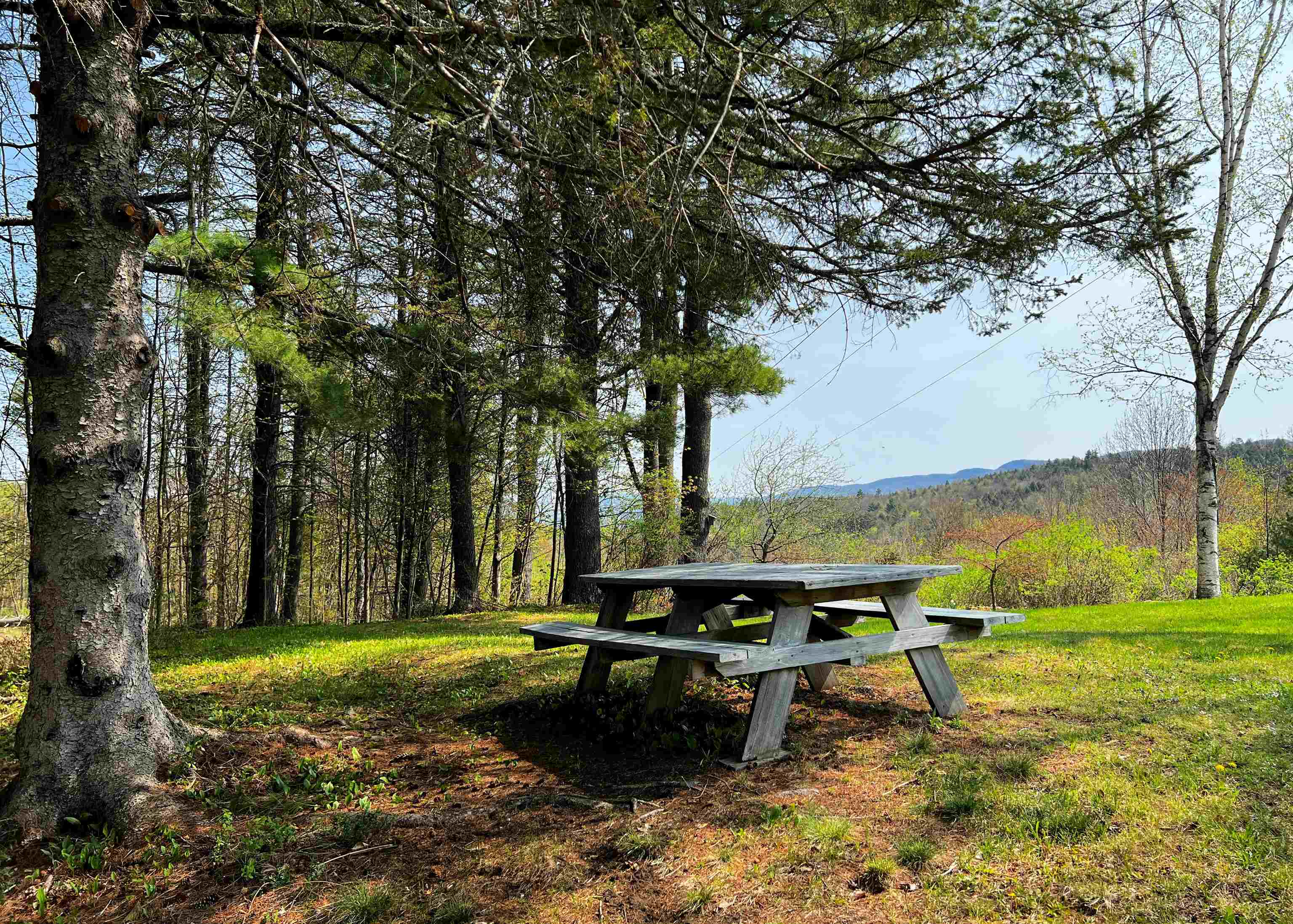 429 Whitehill Road Ryegate, VT 05042 - Photo 26 of 37