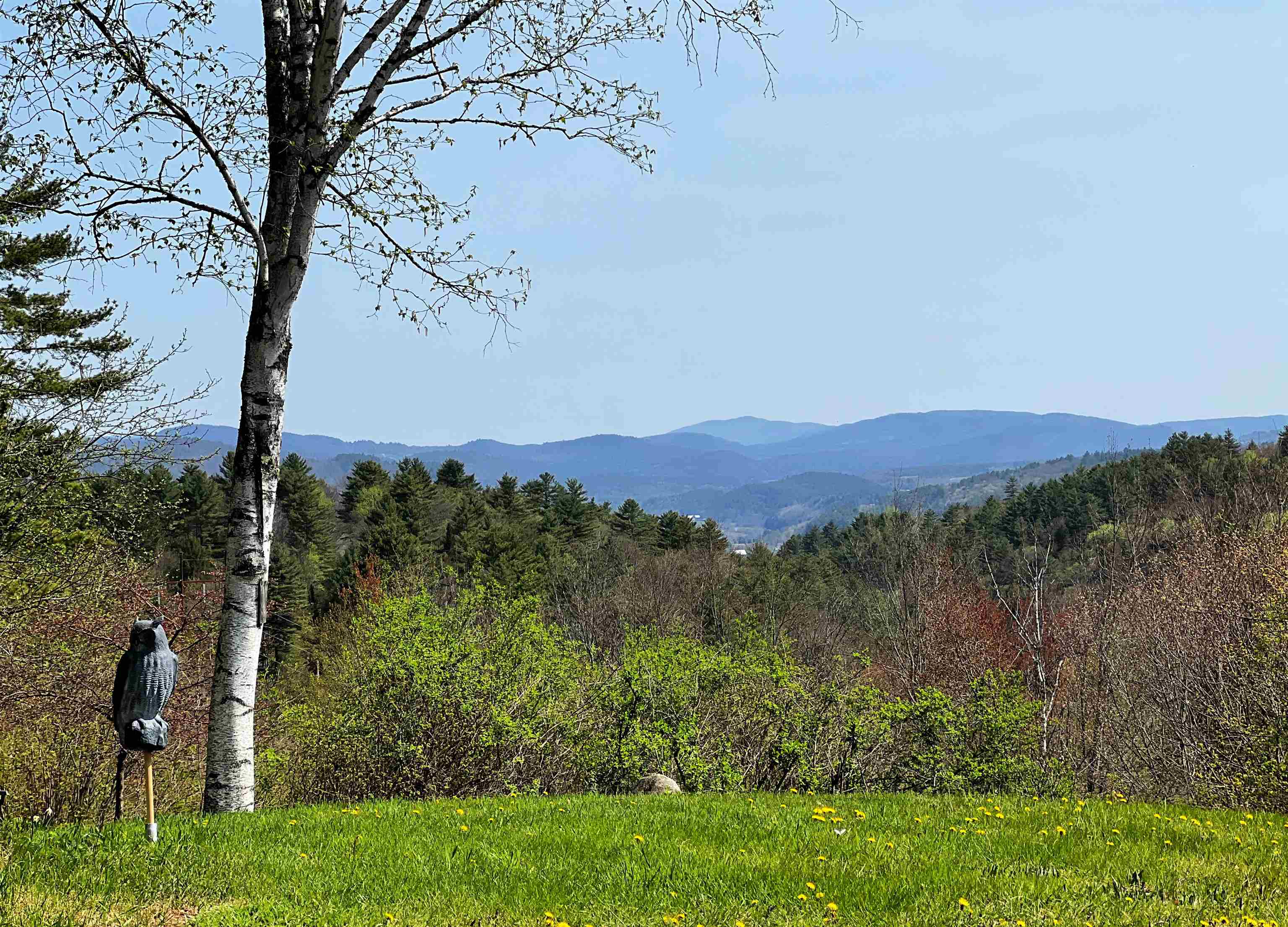 429 Whitehill Road Ryegate, VT 05042 - Photo 3 of 37