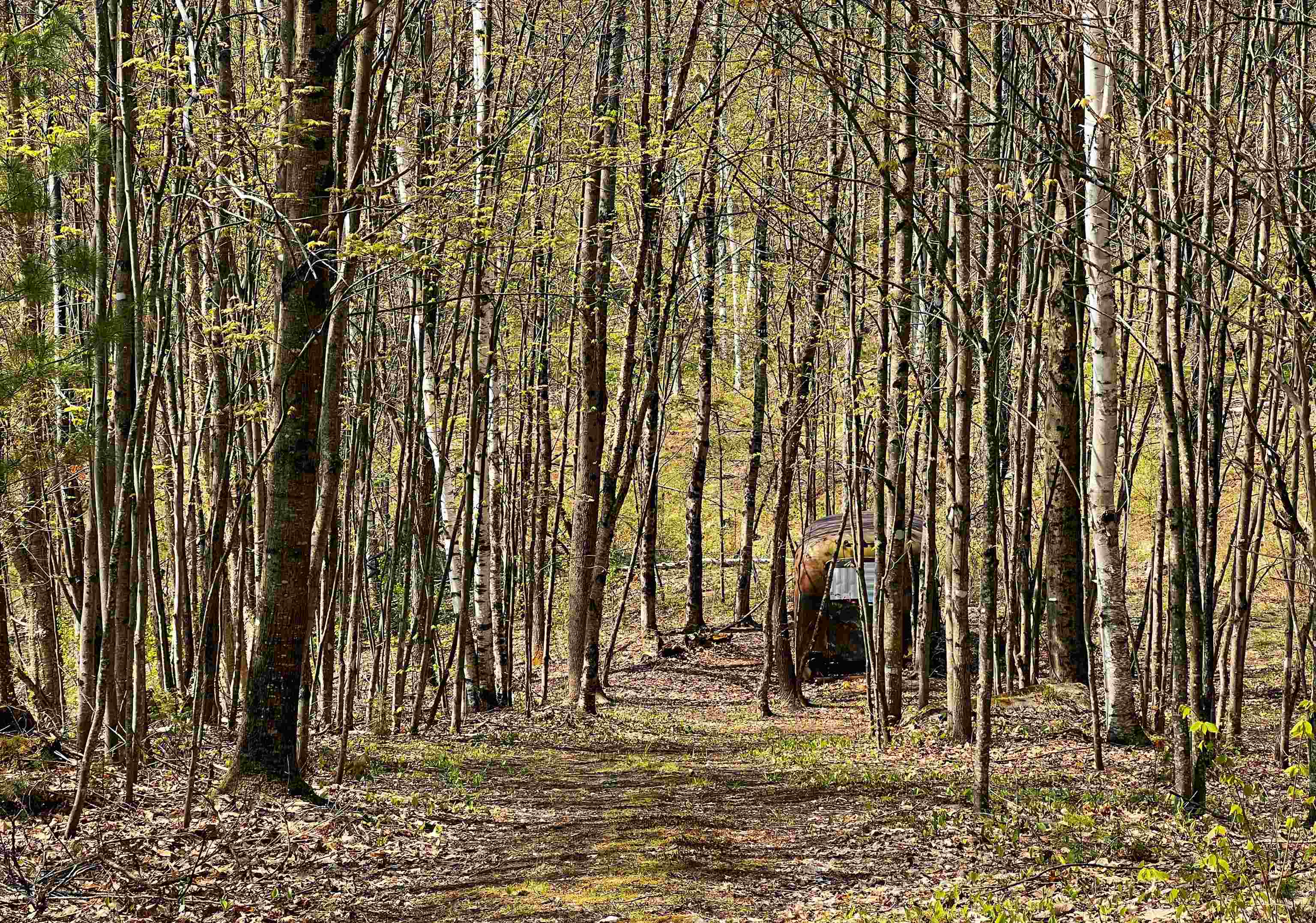 429 Whitehill Road Ryegate, VT 05042 - Photo 31 of 37