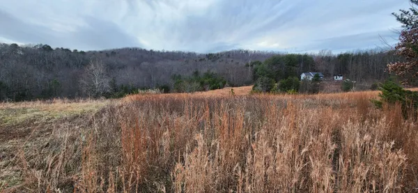 a view of backyard and mountain view