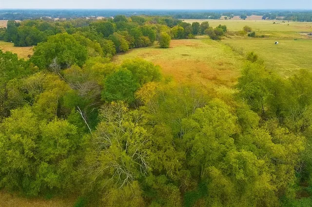 a view of an ocean from a yard