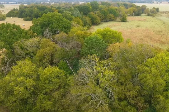 a view of a dry yard with wooden fence