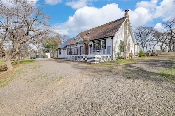 a view of a big yard with plants and large trees