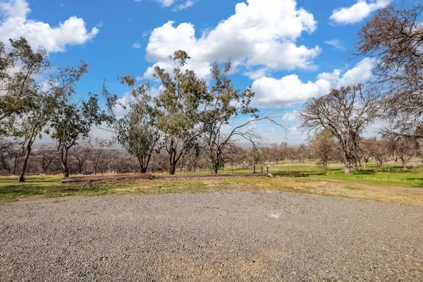 a view of a park with large trees