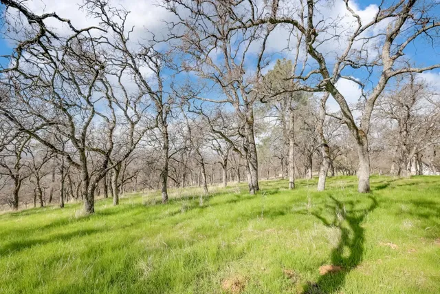 $459,000 | 211 Sunny Hills, Bangor, CA 95901