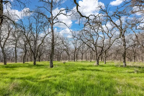 $449,000 | 211 Sunny Hills, Bangor, CA 95901