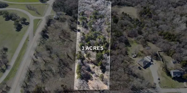 a view of a dry yard