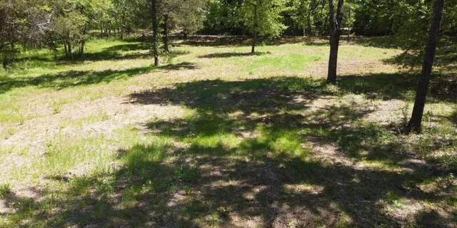 a view of a yard with trees