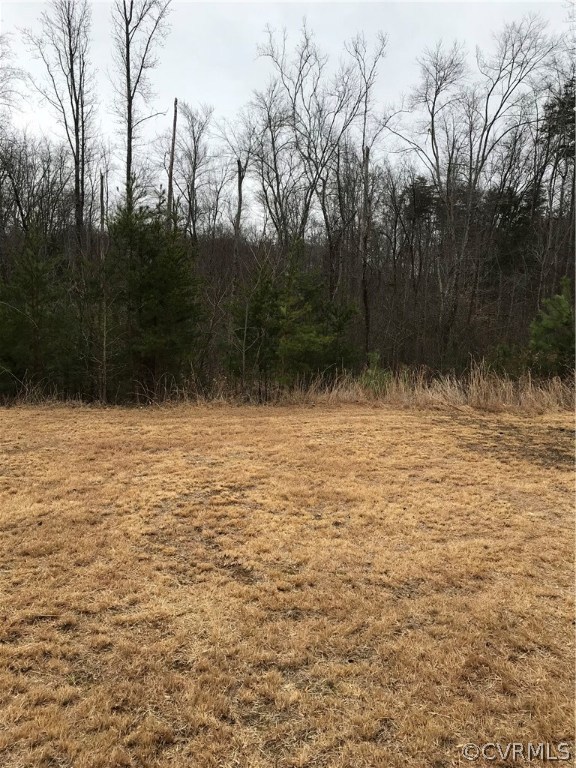 6730 Lockett Road Rice, VA 23966 - Photo 9 of 14