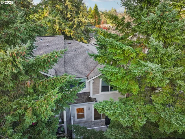 a view of a yard with plants