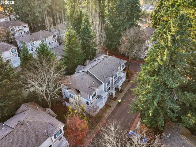 a view of a yard with plants and large trees