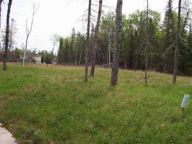 6 Hidden Springs Two Harbors, MN 55616 - Photo 6 of 6 Gallery Image 6
