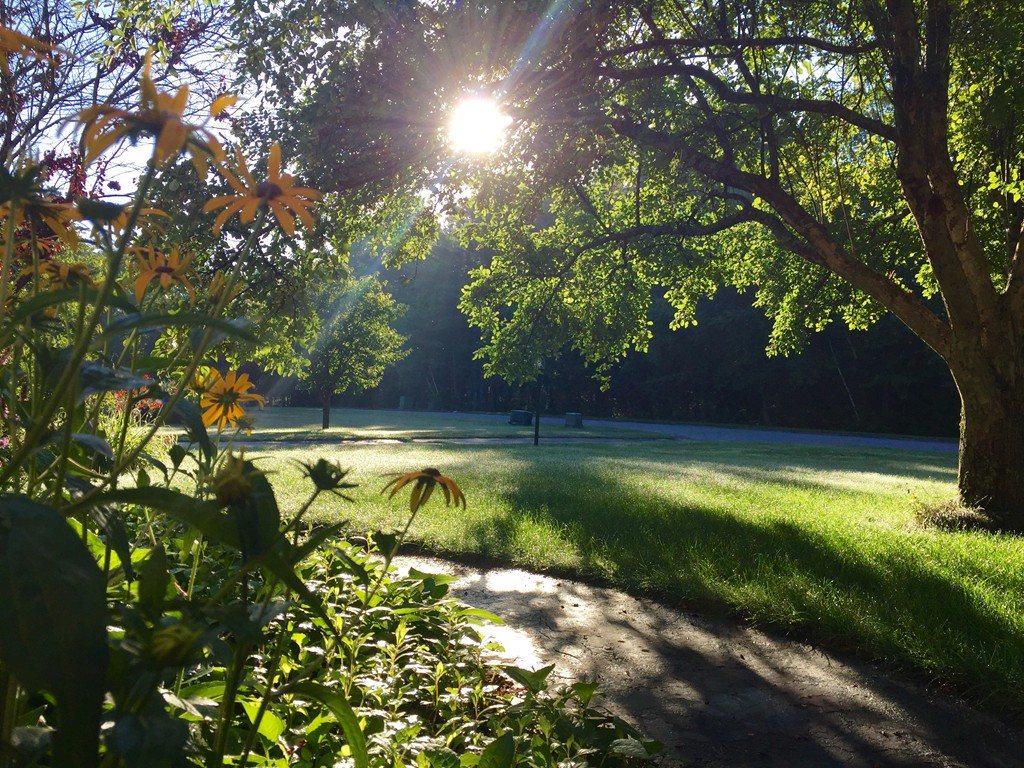 22 Birch Drive Sterling, MA 01564 - Photo 19 of 19