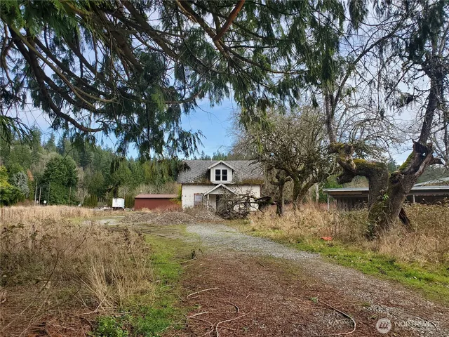 a view of a bench in middle of a yard