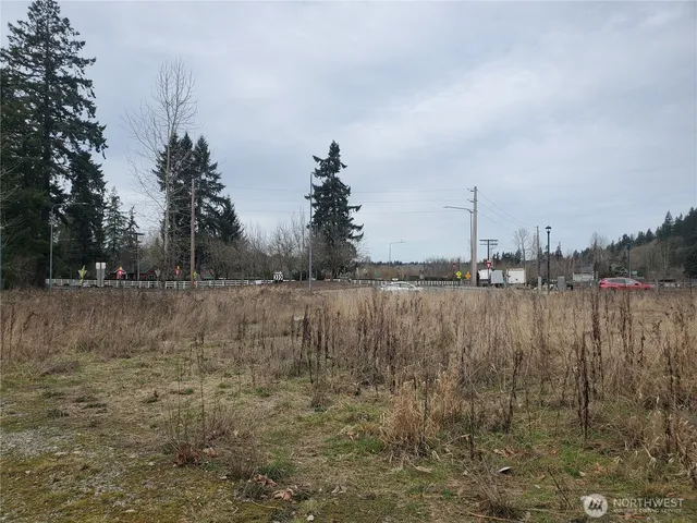 a view of a garden with trees