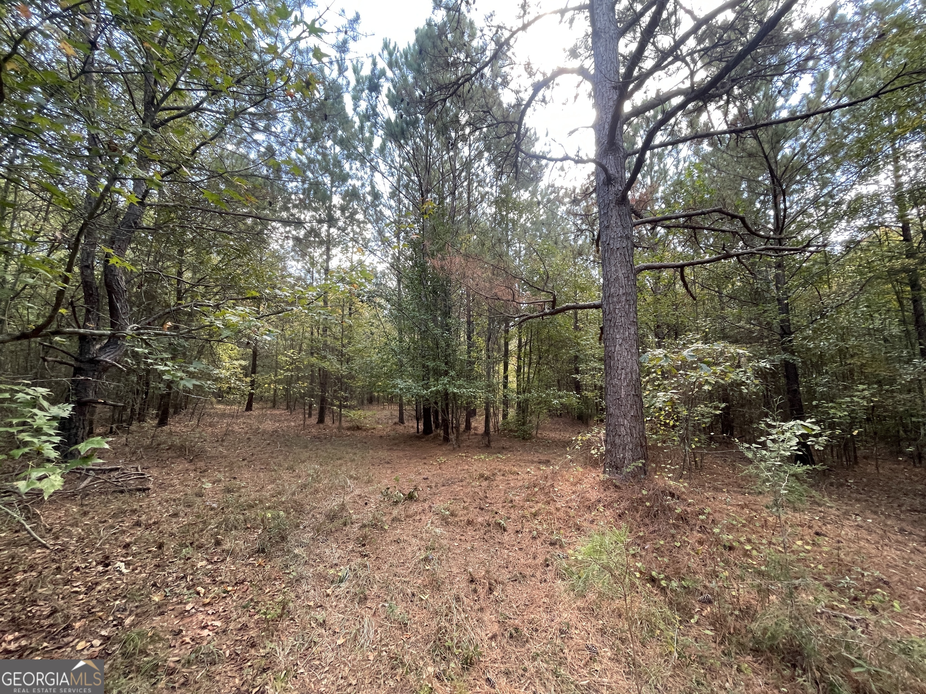 0 Berry Road Barnesville, GA 30204 - Photo 1 of 1 Gallery Image 1