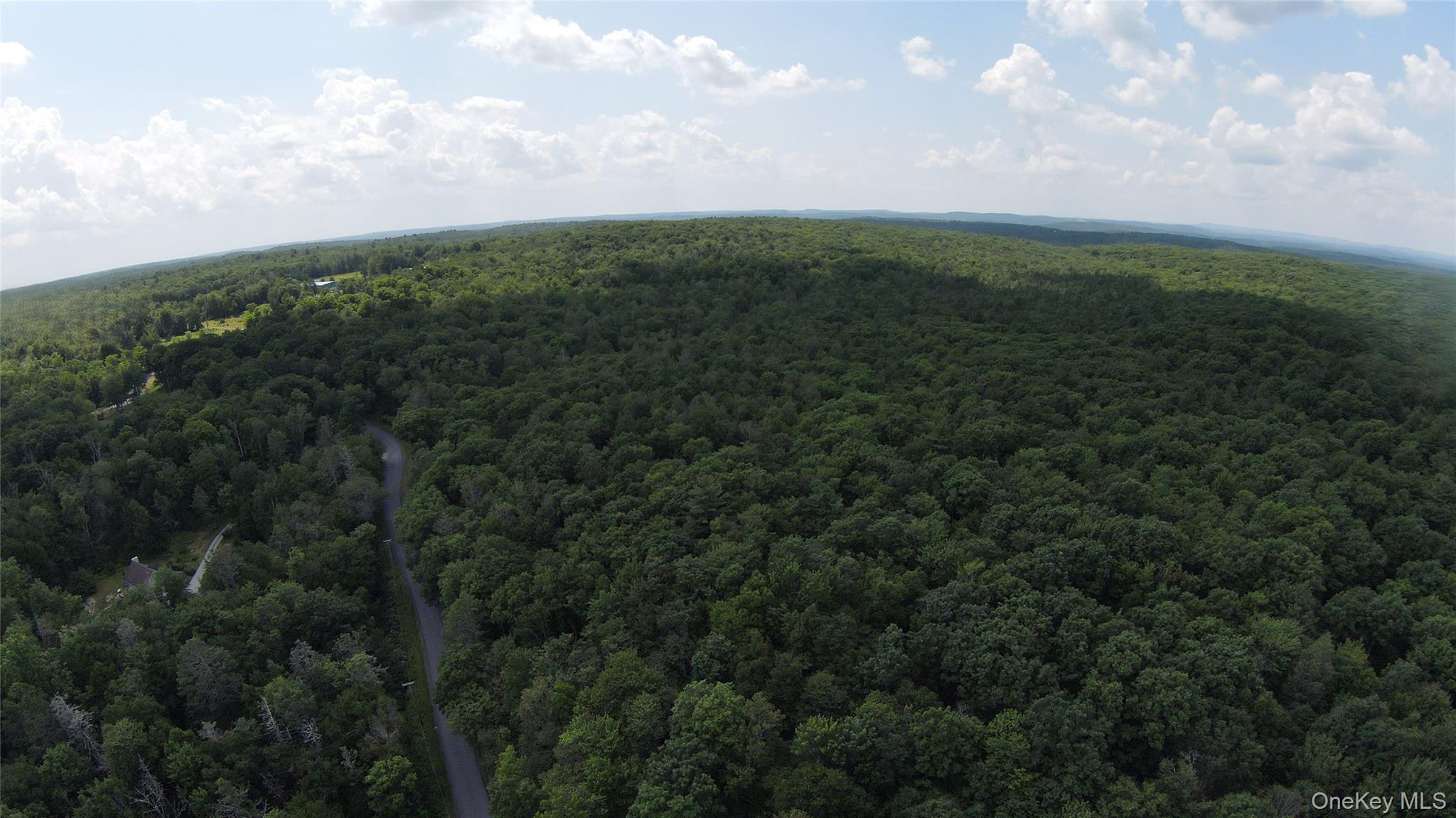 Taylor Road Mountain Dale, NY 12763 - Photo 15 of 15