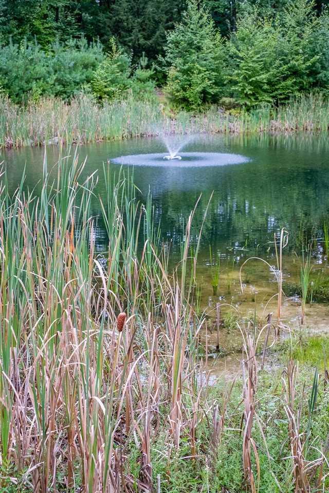 151 Fort Point Road Alton, NH 03810 - Photo 7 of 40