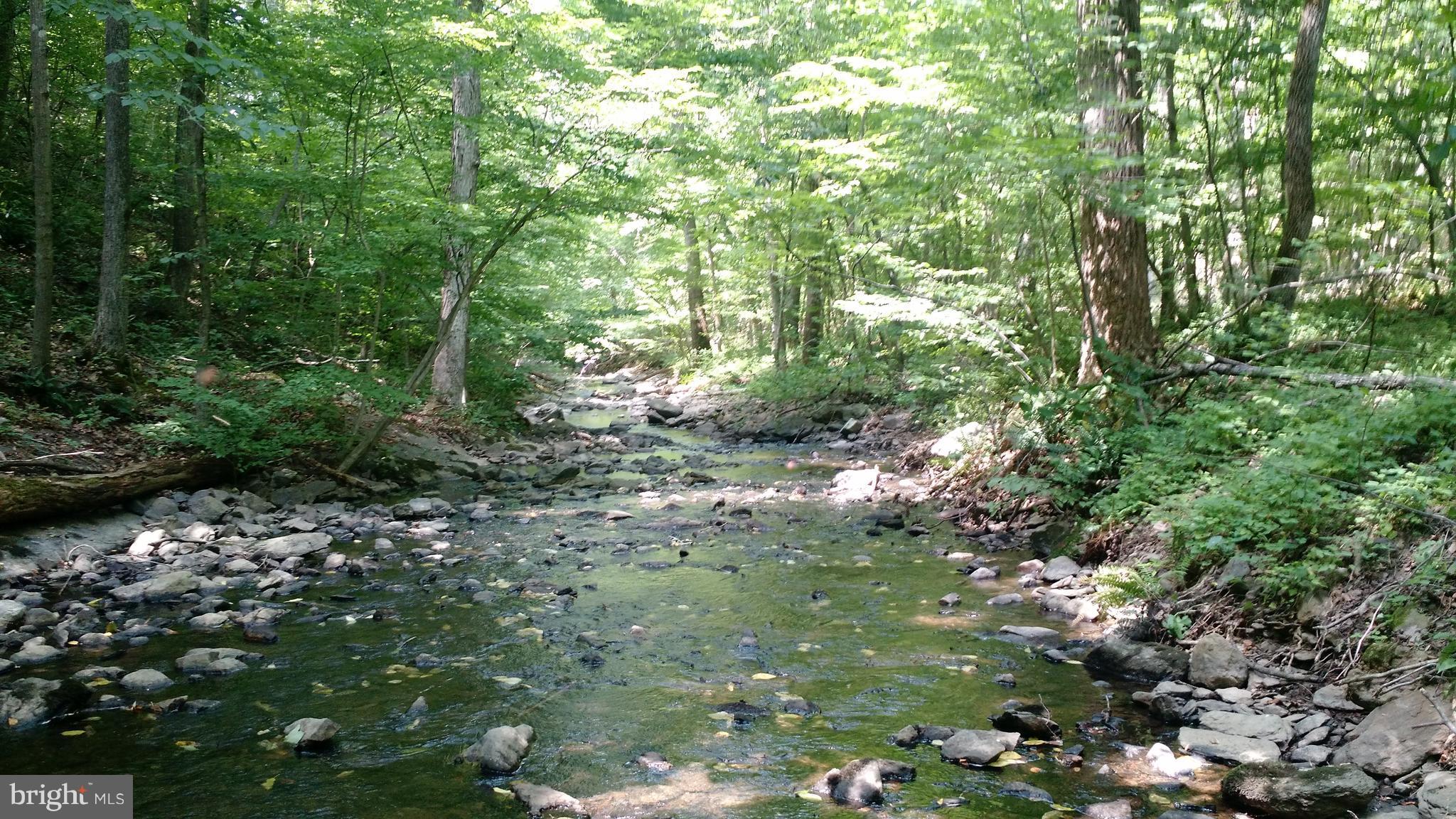 Lot 2 Venus Branch Road Front Royal, VA 22630 - Photo 1 of 4 QUIET STREAM FLOWS THROUGH REAR CORNER