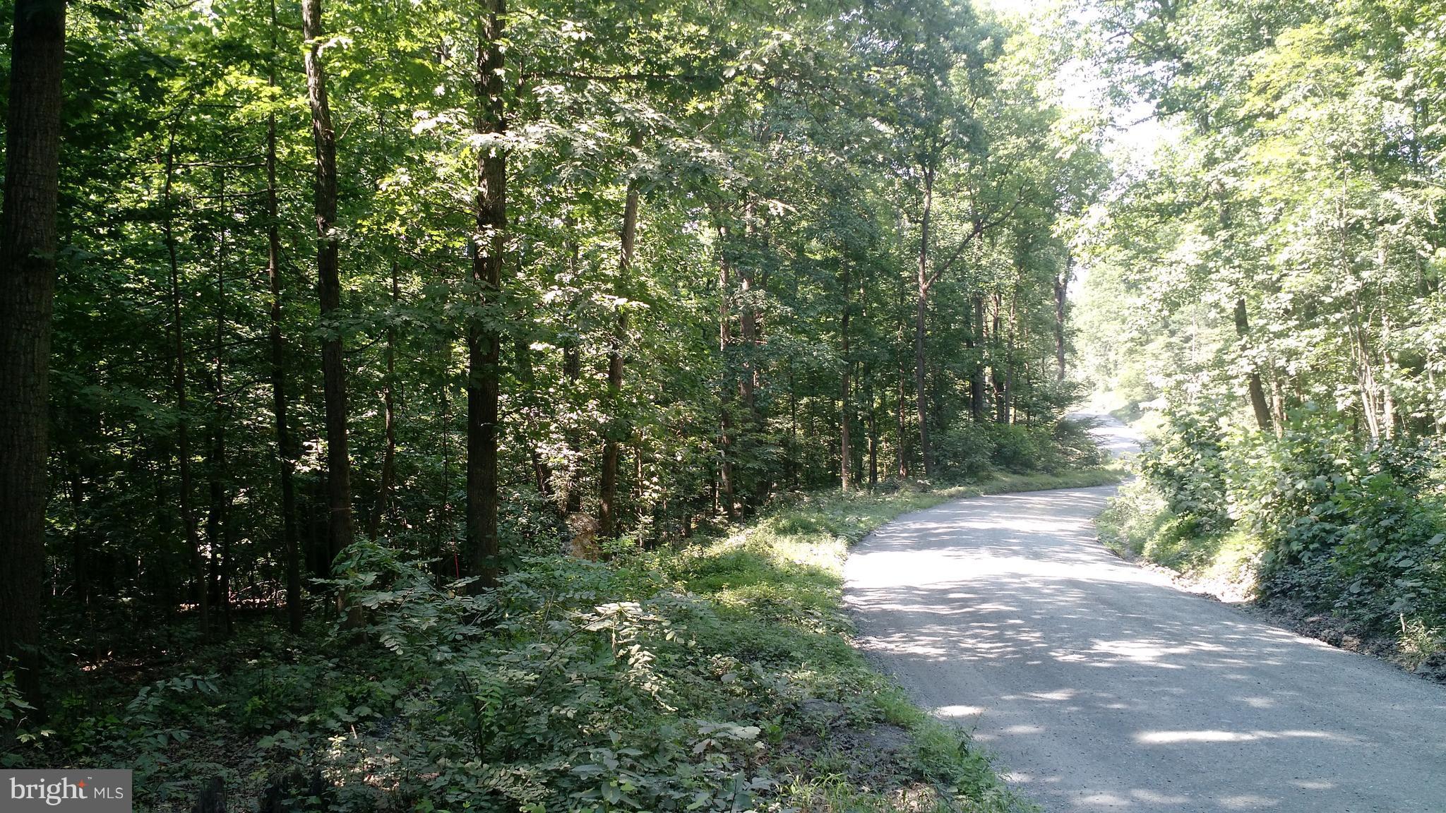 Lot 2 Venus Branch Road Front Royal, VA 22630 - Photo 4 of 4 ACCESS OF VENUS BRANCH RD