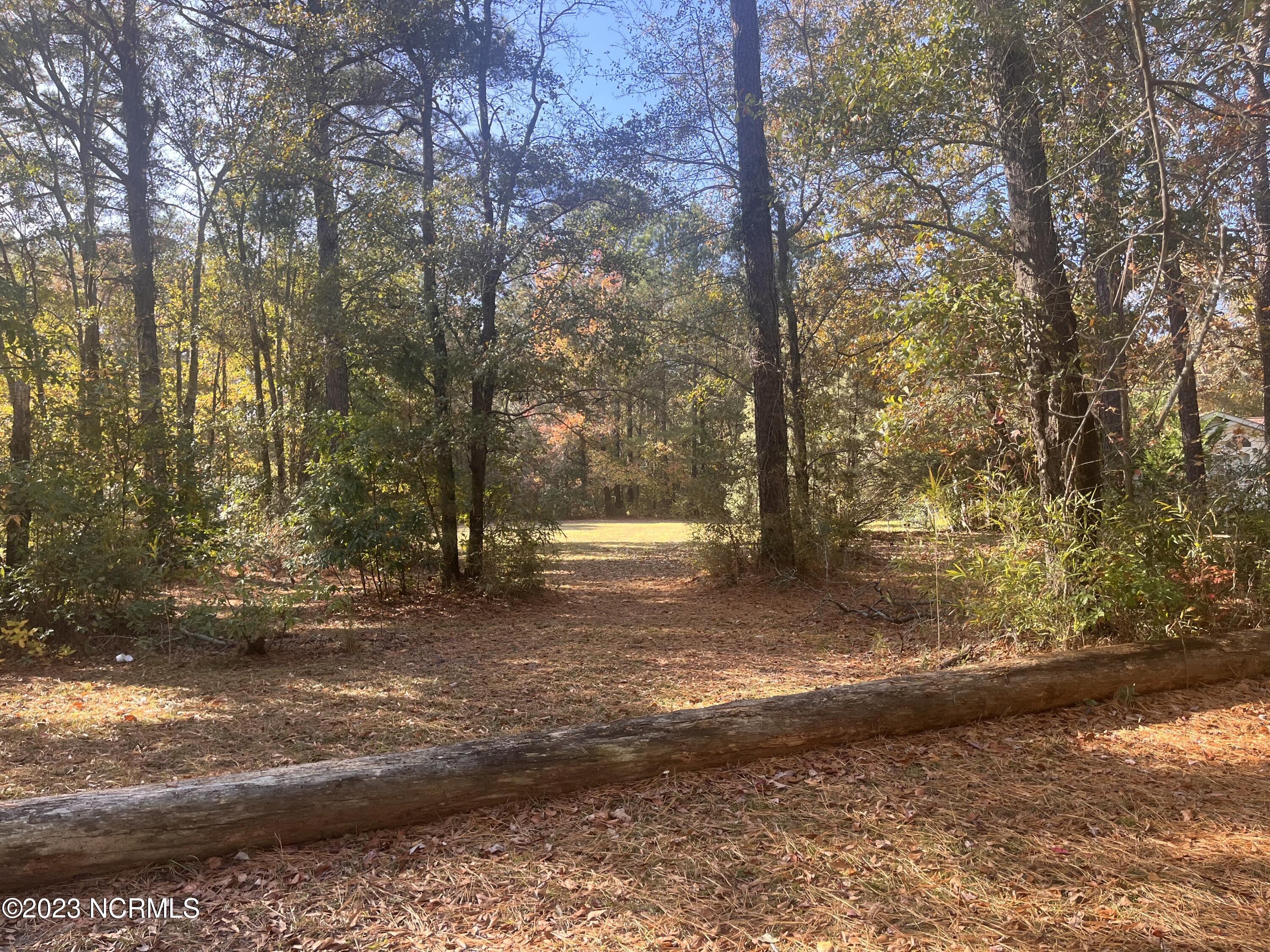 5826 Marvin Taylor Road Ayden, NC 28513 - Photo 2 of 8 5826 Marvin Taylor Rd, Lot 5