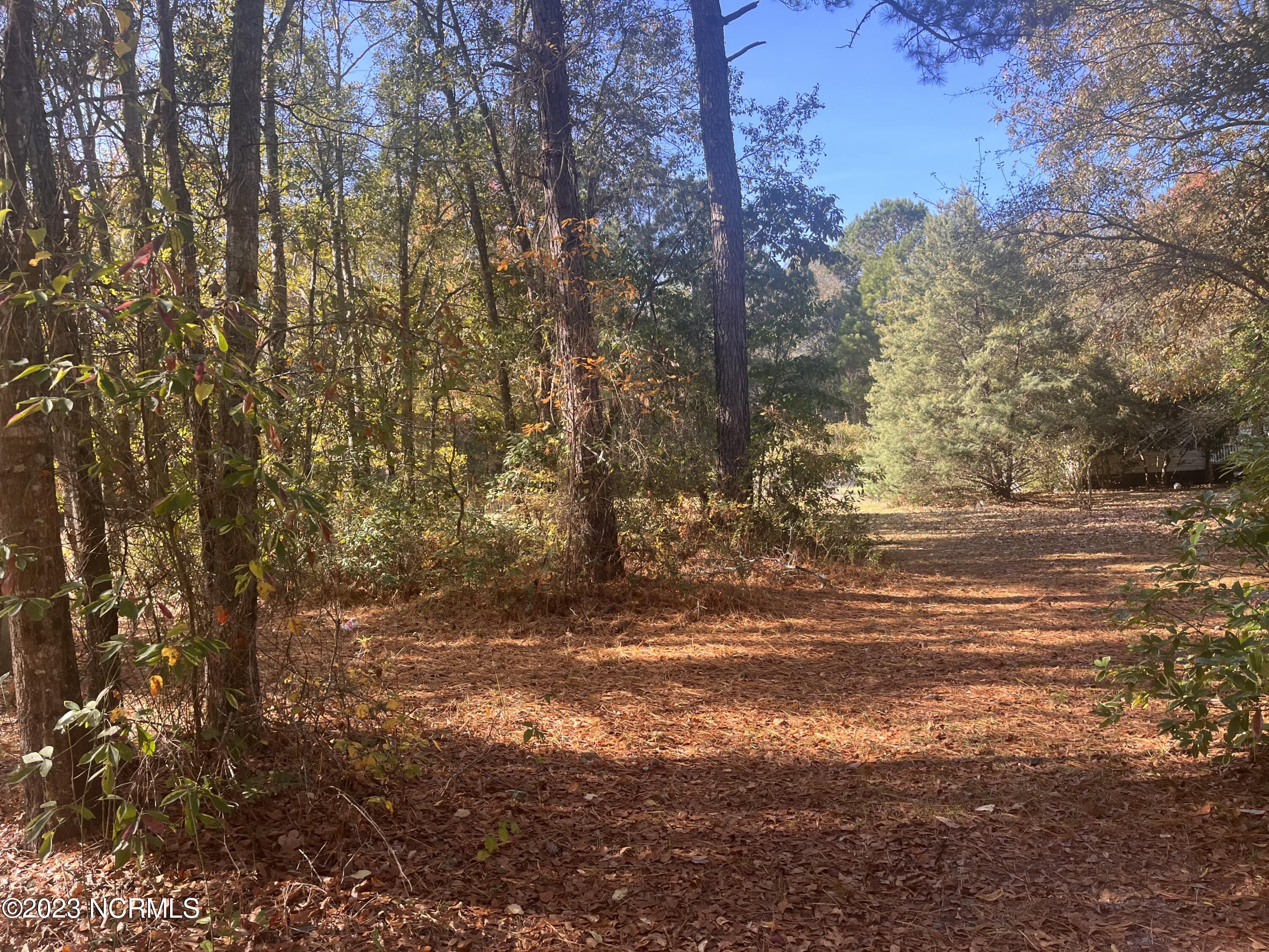 5826 Marvin Taylor Road Ayden, NC 28513 - Photo 3 of 8 5826 Marvin Taylor Rd, Lot 5