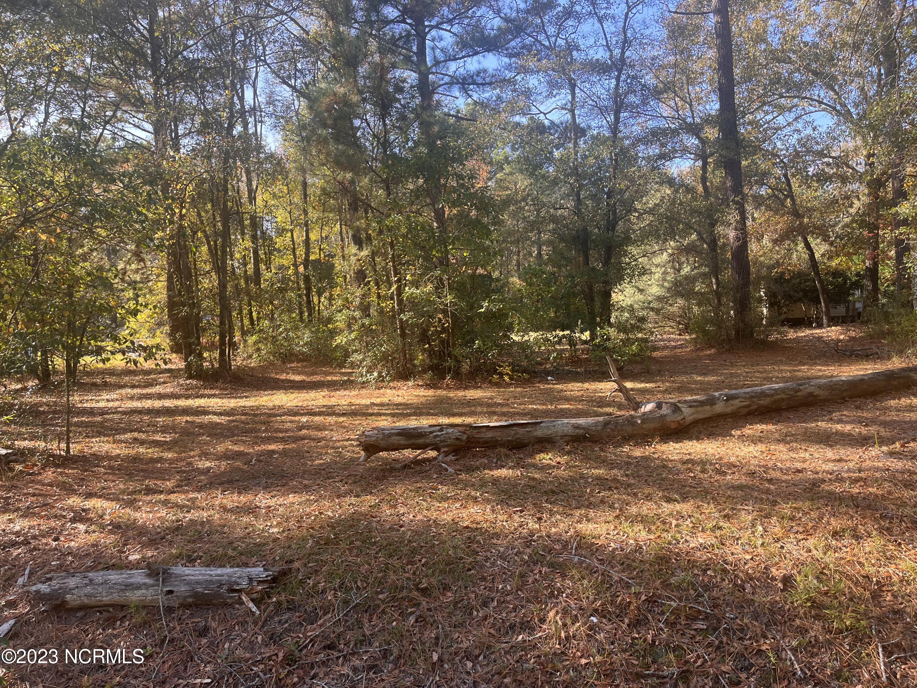 5826 Marvin Taylor Road Ayden, NC 28513 - Photo 7 of 8 5826 Marvin Taylor Rd, Lot 5