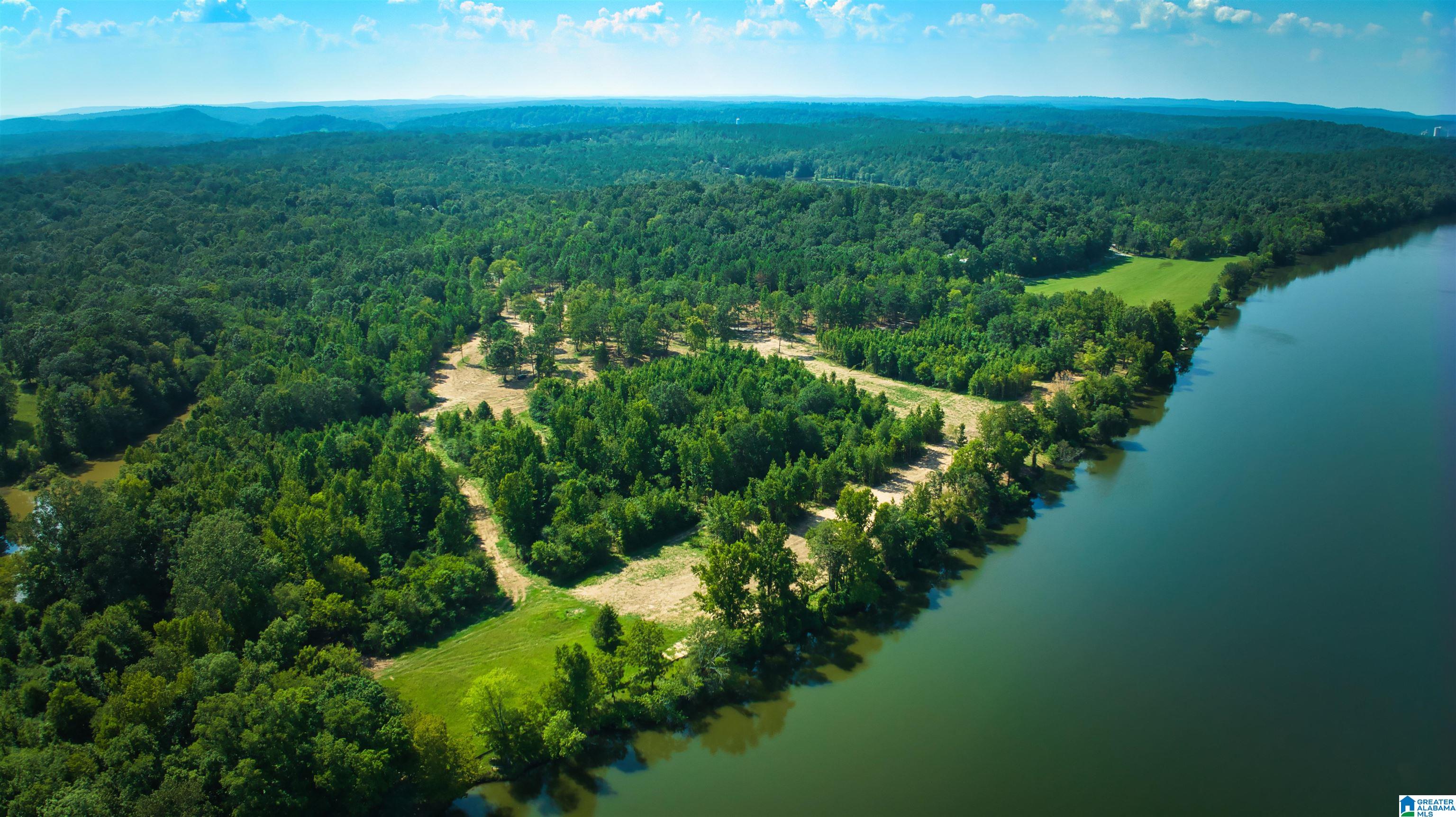 Lot 19 Wester Drive, Unit LOT 19 Ragland, AL 35131 - Photo 12 of 71
