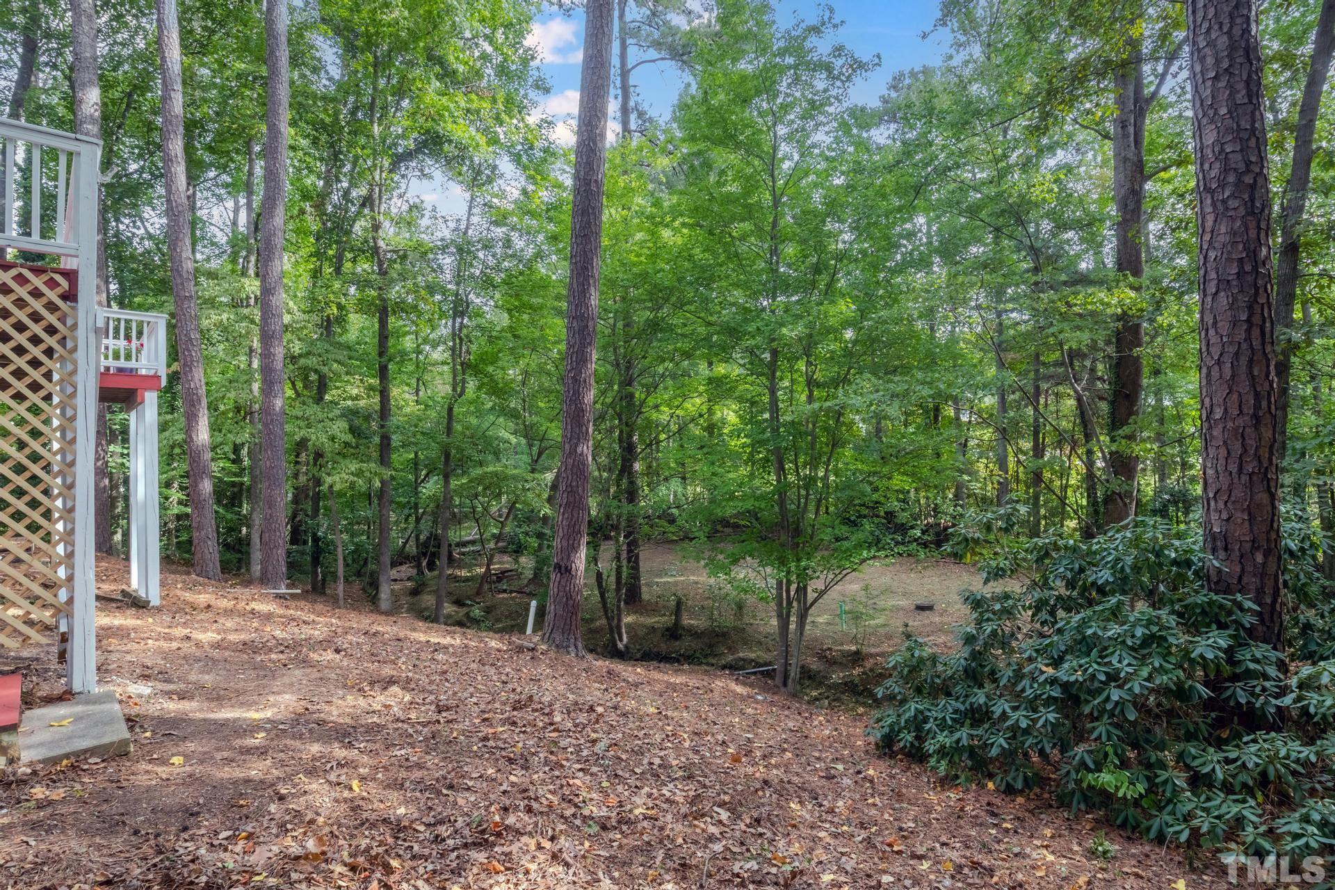 1416 Princess Anne Road Cary, NC 27513 - Photo 54 of 58