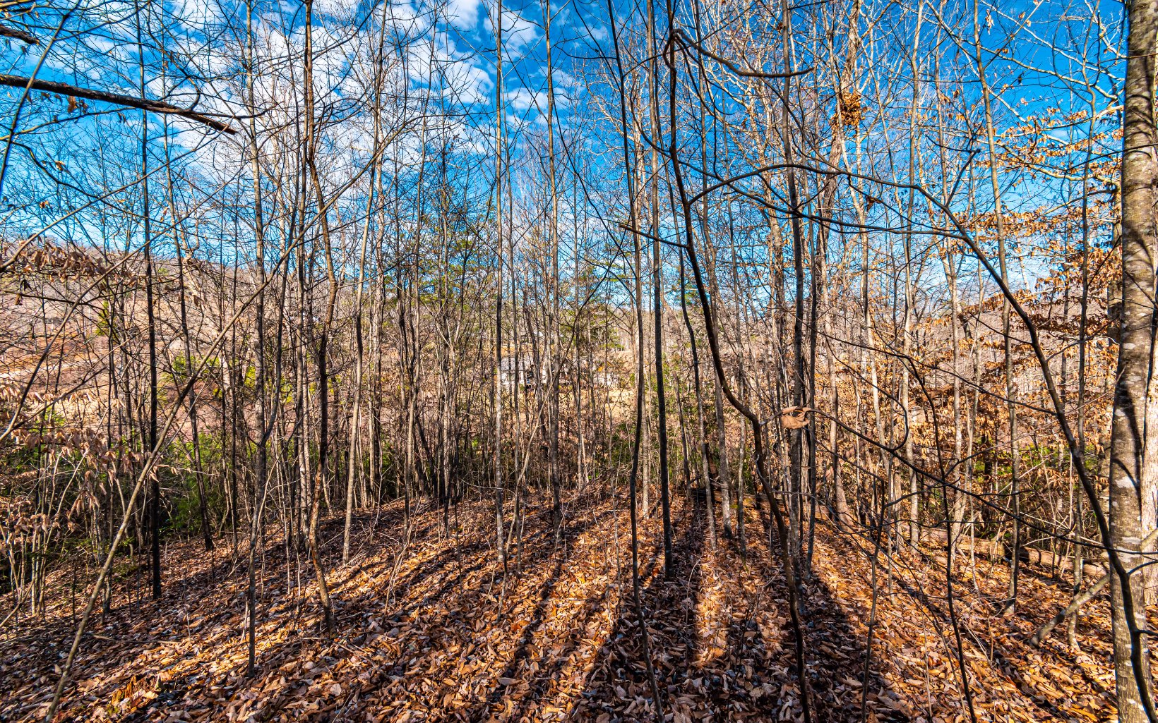 1.69 A Amber Ridge Road Blue Ridge, GA 30513 - Photo 11 of 59 Additional View