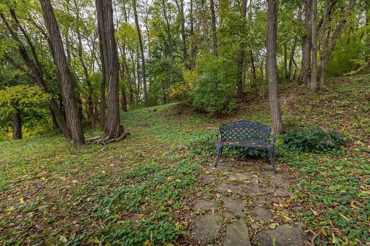 514 3rd Street Galena, IL 61036 - Photo 24 of 25 a green field with lots of trees