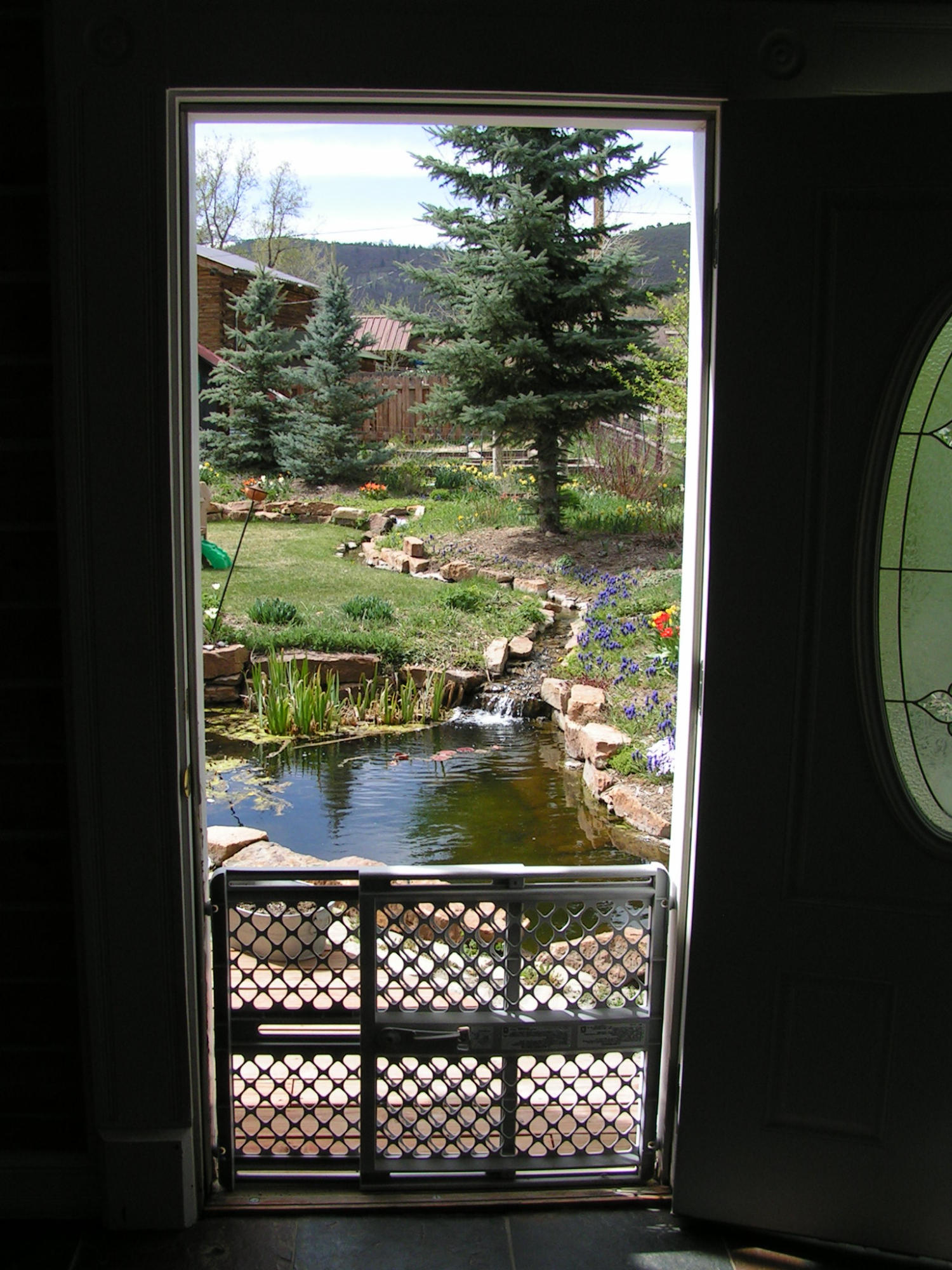 910 Charles Street Ridgway, CO 81432 - Photo 16 of 40 PICT4846